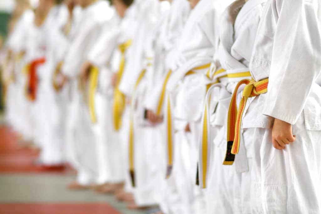 National Karate MMA Overview